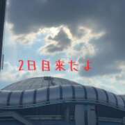 ヒメ日記 2026/08/03 08:37 投稿 三好ゆみか(みよしゆみか) 神戸妻