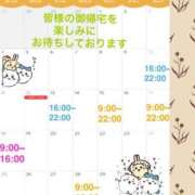 ヒメ日記 2026/09/26 08:08 投稿 三好ゆみか(みよしゆみか) 神戸妻キャッスル店