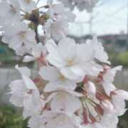 ヒメ日記 2025/04/11 11:45 投稿 なな[東京] 奥鉄オクテツ神奈川店（デリヘル市場グループ）