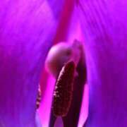 なな[東京] お礼♡ 奥鉄オクテツ神奈川店（デリヘル市場グループ）