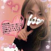ヒメ日記 2025/03/25 15:36 投稿 星野あいな 五十路マダム　広島店