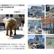 ヒメ日記 2025/08/05 23:52 投稿 星野あいな 五十路マダム　広島店