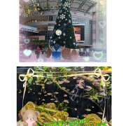 ヒメ日記 2025/11/16 18:36 投稿 星野あいな 五十路マダム　広島店