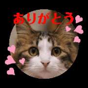 ヒメ日記 2026/01/05 00:34 投稿 星野あいな 五十路マダム　広島店