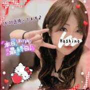 ヒメ日記 2026/02/15 10:28 投稿 星野あいな 五十路マダム　広島店