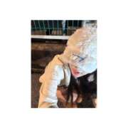 ヒメ日記 2025/12/09 07:53 投稿 ひびき ROYAL STAR