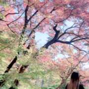 ヒメ日記 2025/11/29 07:10 投稿 じゅな【VIC】 ROYAL STAR