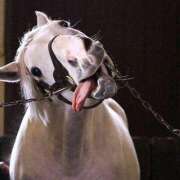 ヒメ日記 2025/09/22 13:28 投稿 ゆまさん いけない奥さん 十三店