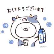 ヒメ日記 2025/09/12 12:12 投稿 ゆまさん いけない奥さん 梅田店