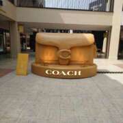 ヒメ日記 2026/03/29 13:05 投稿 ゆまさん いけない奥さん 梅田店