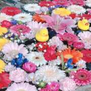 ヒメ日記 2025/03/29 20:48 投稿 むぎ ルージュ(会津若松)