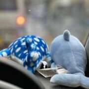 ヒメ日記 2025/06/01 07:17 投稿 いちか 池袋千姫