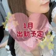 ヒメ日記 2024/12/25 17:25 投稿 みふゆ Noble