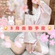 ヒメ日記 2025/02/24 15:45 投稿 みふゆ Noble