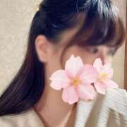 ヒメ日記 2025/04/05 16:05 投稿 みふゆ Noble