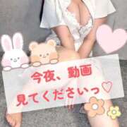 ヒメ日記 2025/08/10 12:15 投稿 みふゆ Noble