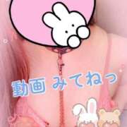 ヒメ日記 2025/08/11 12:25 投稿 みふゆ Noble