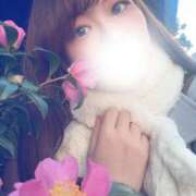 ヒメ日記 2026/01/17 07:15 投稿 みふゆ Noble