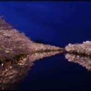 ヒメ日記 2025/04/18 20:01 投稿 萬田いづみ ABC 岩手ソープ