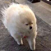 ヒメ日記 2026/02/18 12:46 投稿 萬田いづみ ABC 岩手ソープ