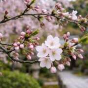 ヒメ日記 2026/04/09 07:46 投稿 萬田いづみ ABC 岩手ソープ