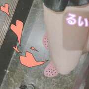 ヒメ日記 2025/06/09 20:22 投稿 るい 花影（かえい）