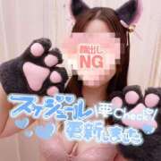 ヒメ日記 2025/06/15 18:01 投稿 ありさ 西船人妻花壇