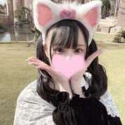 ヒメ日記 2025/04/01 19:52 投稿 せりな プラチナ