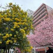 ヒメ日記 2025/03/16 14:01 投稿 ゆな Blue Lagoon(ブルーラグーン)