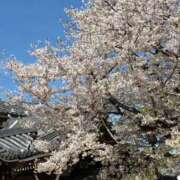 ヒメ日記 2026/04/04 14:31 投稿 ゆな Blue Lagoon(ブルーラグーン)