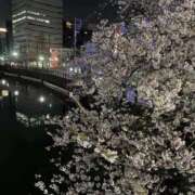 ヒメ日記 2026/04/06 23:11 投稿 ゆな Blue Lagoon(ブルーラグーン)