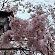 ヒメ日記 2026/04/11 00:21 投稿 ゆな Blue Lagoon(ブルーラグーン)