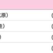 ヒメ日記 2025/08/12 07:51 投稿 アレン・SP アニバーサリー