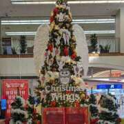 ヒメ日記 2024/12/23 14:27 投稿 水嶋さとみ おもてなし妻