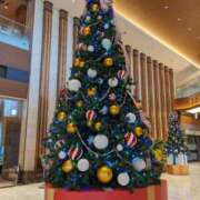 ヒメ日記 2025/11/27 11:07 投稿 水嶋さとみ おもてなし妻