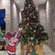 ヒメ日記 2025/11/28 09:51 投稿 水嶋さとみ おもてなし妻