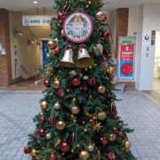 ヒメ日記 2025/12/14 09:35 投稿 水嶋さとみ おもてなし妻