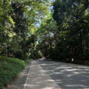 ヒメ日記 2025/07/19 09:04 投稿 あかね 池袋おかあさん