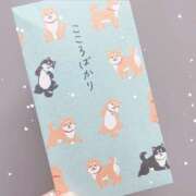 ヒメ日記 2025/01/01 17:23 投稿 ひな ハピネス札幌