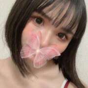 ヒメ日記 2024/12/15 20:05 投稿 ゆらり ピンクコレクション大阪キタ店