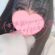 せりか お休み 秋葉原ハンドメイド