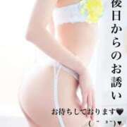 ヒメ日記 2025/08/19 13:56 投稿 奈央(なお) 人妻出逢い会 百合の園 新宿店