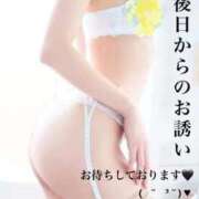 ヒメ日記 2025/09/28 22:26 投稿 奈央(なお) 人妻出逢い会 百合の園 新宿店