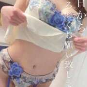 ヒメ日記 2025/12/11 11:56 投稿 奈央(なお) 人妻出逢い会 百合の園 新宿店