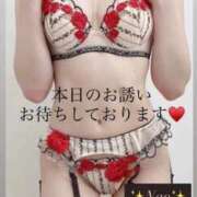 ヒメ日記 2026/02/06 08:26 投稿 奈央(なお) 人妻出逢い会 百合の園 新宿店