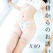 ヒメ日記 2026/06/12 23:56 投稿 奈央(なお) 人妻出逢い会 百合の園 新宿店