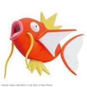 ヒメ日記 2025/05/13 08:24 投稿 あげは 沖縄ちゃんこ那覇店