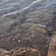 ヒメ日記 2025/06/24 20:16 投稿 あげは 沖縄ちゃんこ那覇店