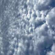 ヒメ日記 2025/09/08 08:54 投稿 あげは 沖縄ちゃんこ那覇店