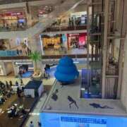 ヒメ日記 2025/09/23 13:44 投稿 あげは 沖縄ちゃんこ那覇店